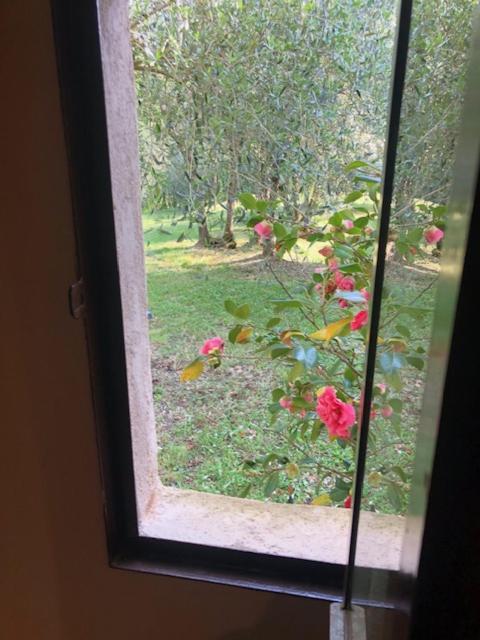 Agriturismo La Pieve كولّي فال ديلسا المظهر الخارجي الصورة