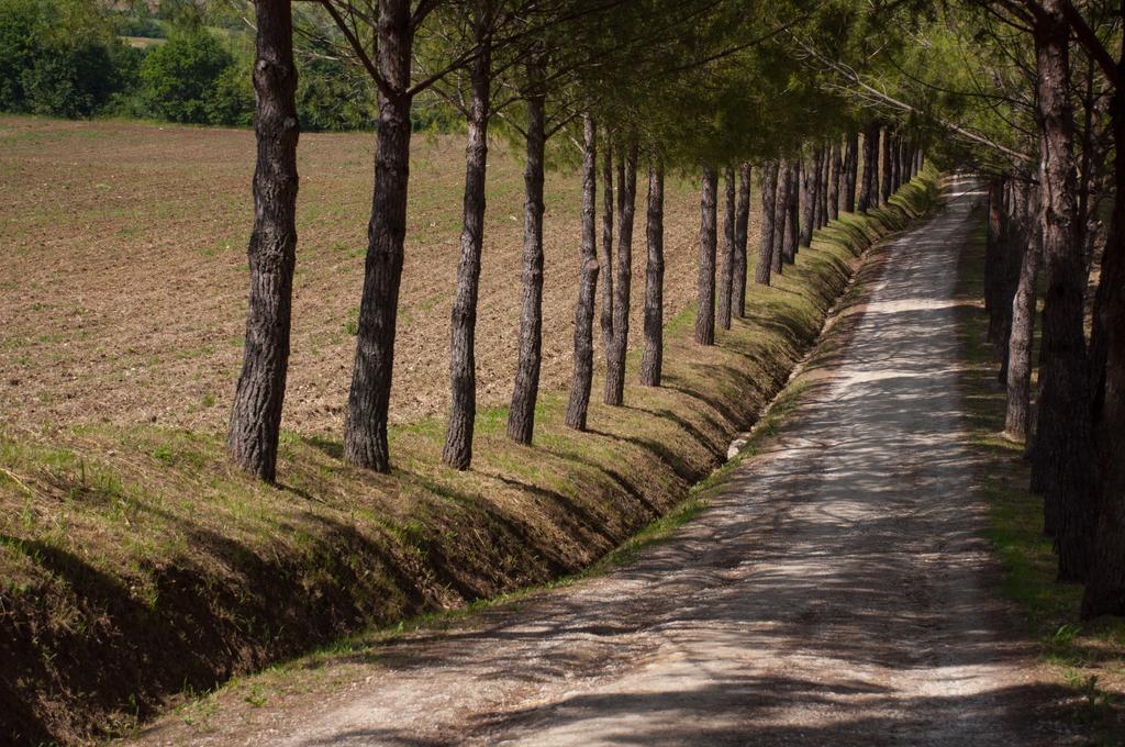 Agriturismo La Pieve كولّي فال ديلسا المظهر الخارجي الصورة