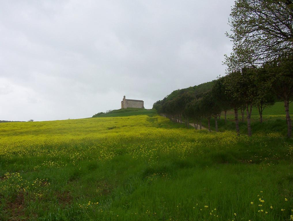 Agriturismo La Pieve كولّي فال ديلسا المظهر الخارجي الصورة
