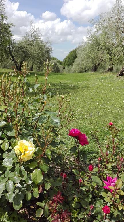 Agriturismo La Pieve كولّي فال ديلسا المظهر الخارجي الصورة